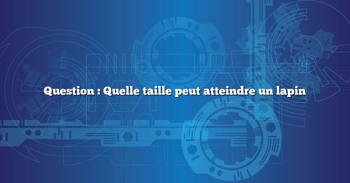 Question : Quelle taille peut atteindre un lapin